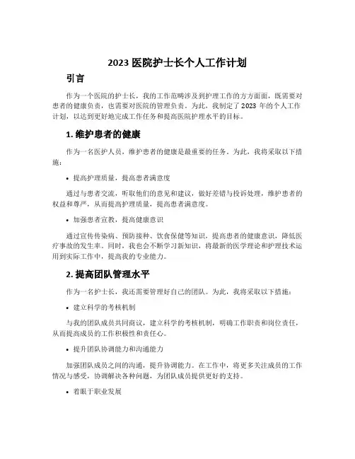 2023医院护士长个人工作计划
