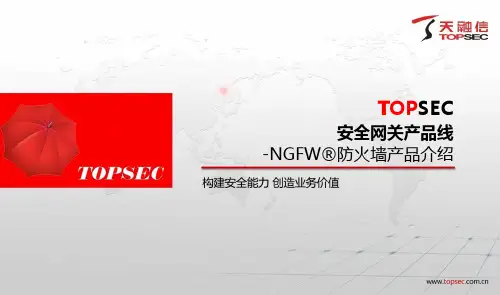 天融信NGFW系列防火墙产品胶片131210