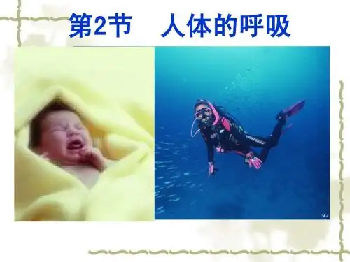 7.2 人体的呼吸(第一课时) 课件(苏科版七年级上)