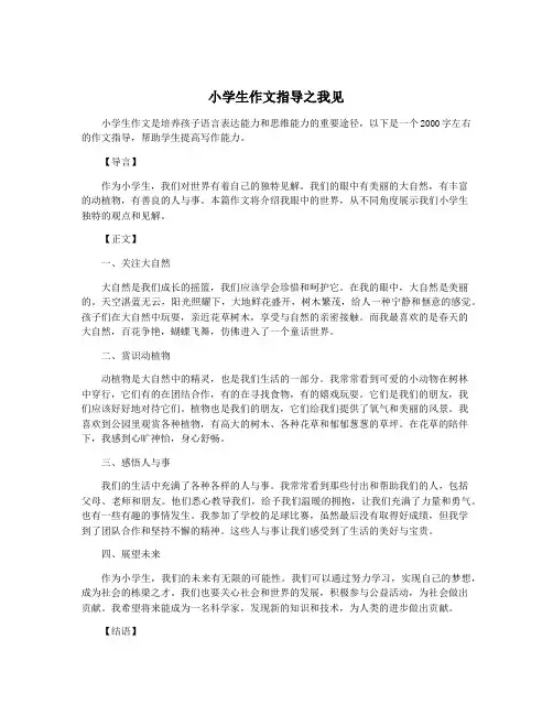 小学生作文指导之我见