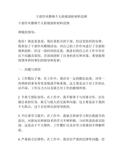 干部作风整顿个人检视剖析材料范例