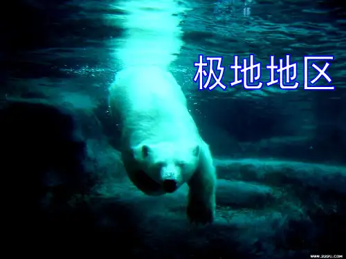 (人教版)地理《极地地区》教学课件1