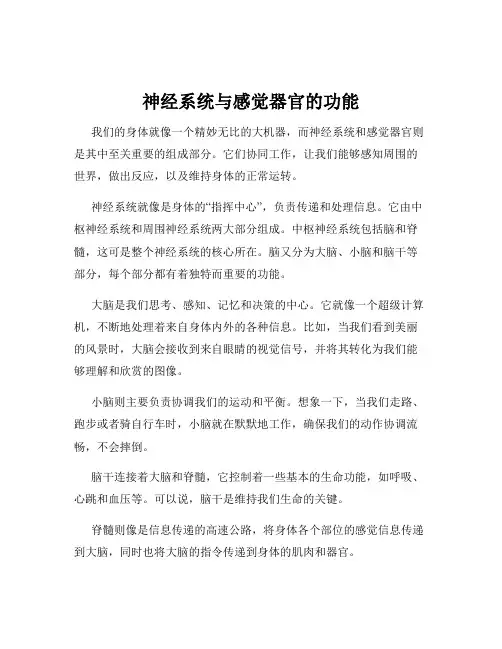 神经系统与感觉器官的功能