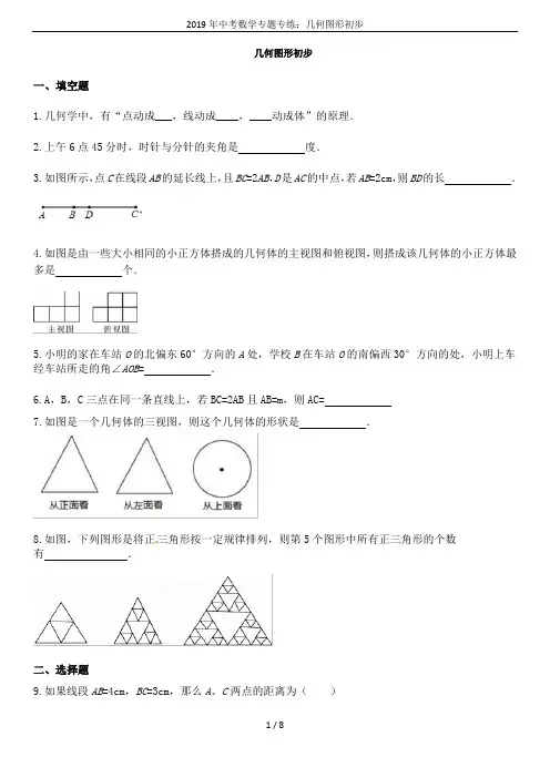 2019年中考数学专题专练：几何图形初步