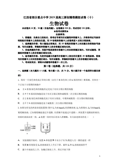 江西省部分重点中学2019届高三原创精准模拟试卷(十)生物试卷
