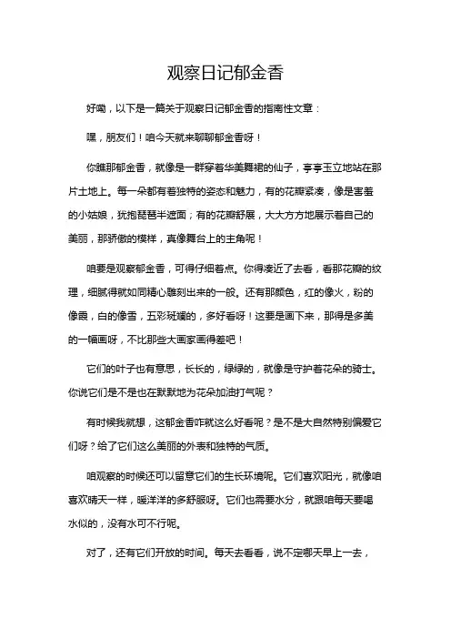 观察日记郁金香