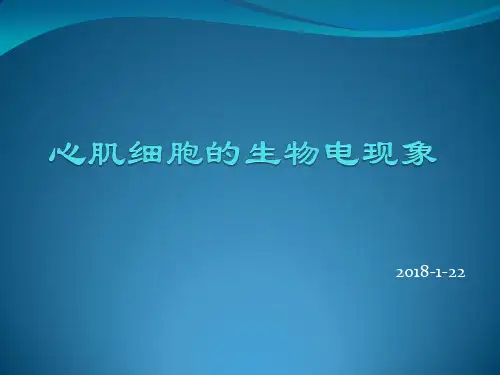 1.心肌细胞的生物电现象