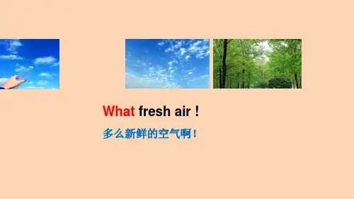 小升初小学英语句型复习课件 感叹句