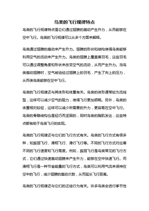 鸟类的飞行规律特点