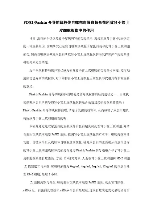 PINK1Parkin介导的线粒体自噬在白蛋白超负荷所致肾小管上皮细胞损伤中的作用