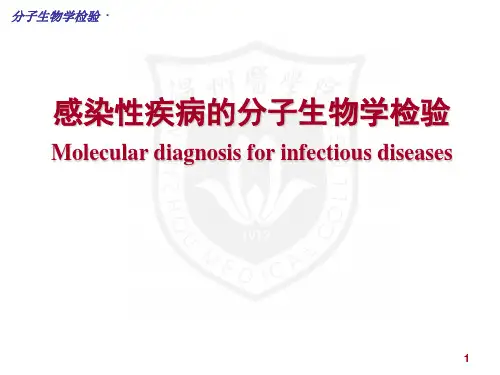 感染性疾病的分子生物学检验  医学课件