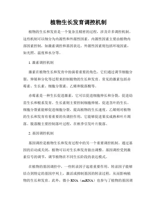植物生长发育调控机制