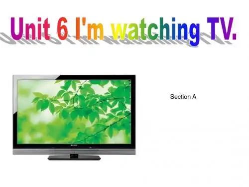 最新人教版英语七年级下册《Unit6 I'm watching TV》ppt课件1
