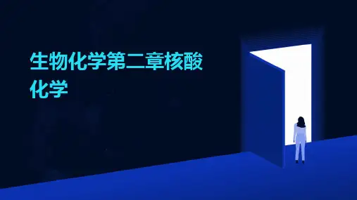 生物化学第二章核酸化学