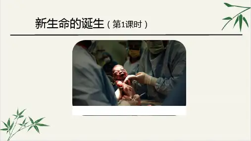 七年级下科学《新生命的诞生》PPT课件浙教版