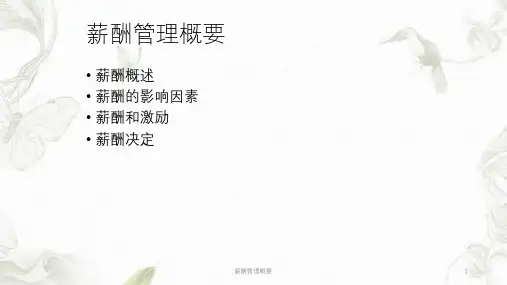 薪酬管理概要ppt课件