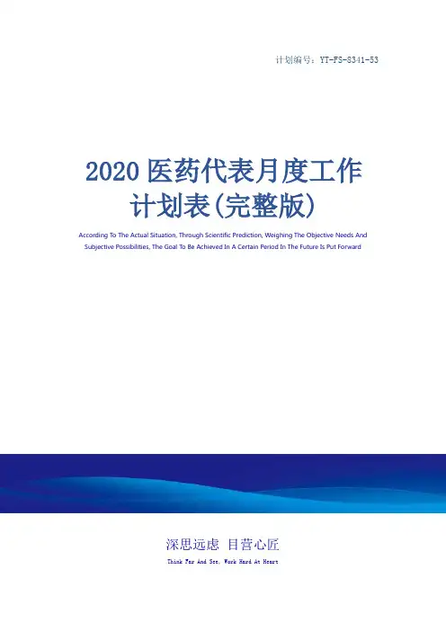 2020医药代表月度工作计划表(完整版)
