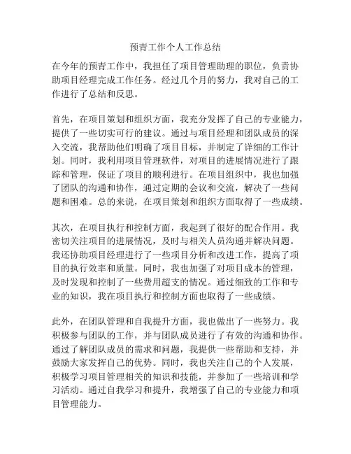 预青工作个人工作总结