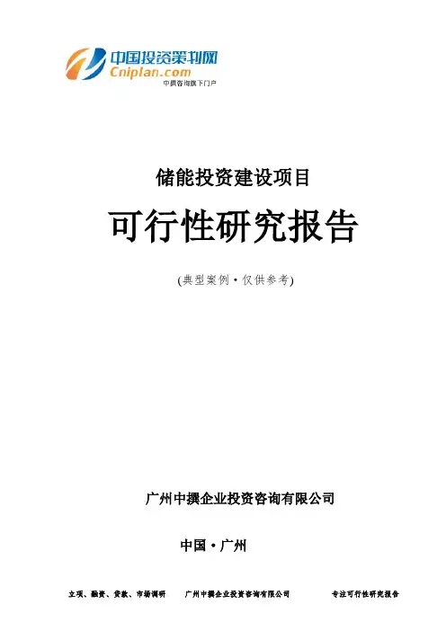 储能投资建设项目可行性研究报告-广州中撰咨询