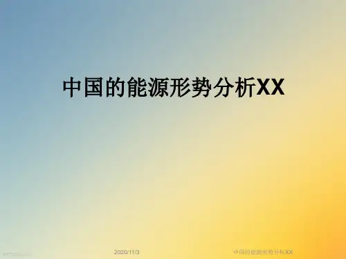 中国的能源形势分析XX