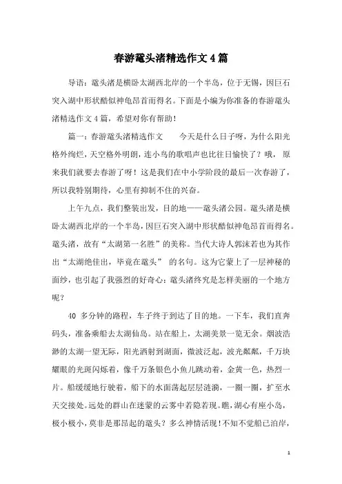 春游鼋头渚精选作文4篇