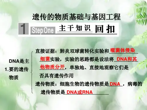 遗传的物质基础复习PPT教学课件