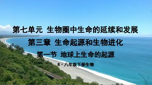 人教版八年级生物下册第七单元第三章《生命的起源和生物进化》课件