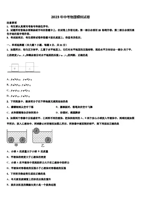 2022-2023学年江苏省泰州市高港区口岸实验校中考猜题物理试卷含解析