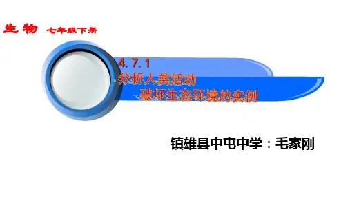 4.7.1分析人类活动破坏生态环境的实例  课件  28页  人教版  七年级下册
