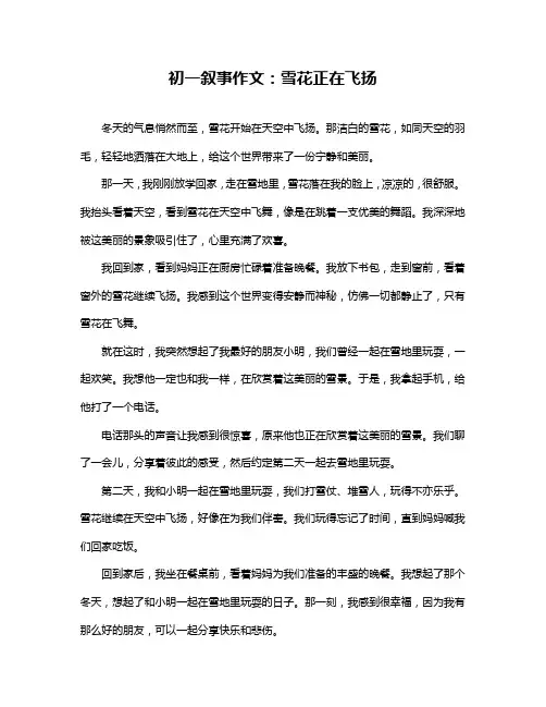 初一叙事作文：雪花正在飞扬
