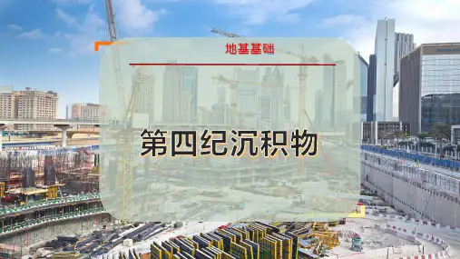 第四纪沉积物