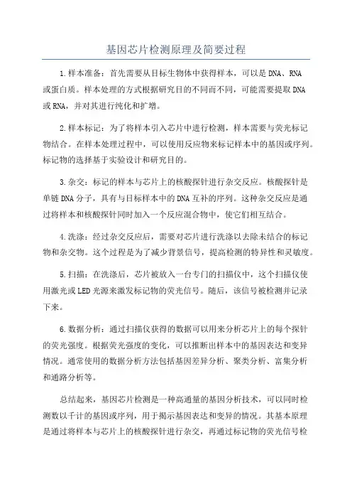 基因芯片检测原理及简要过程