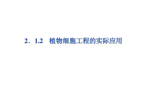 专题2 2.1.2 植物细胞工程的实际应用
