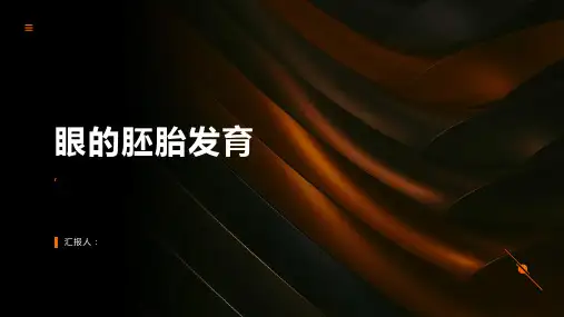 《眼的胚胎发育》课件