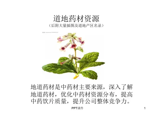 道地药材资源(附插图)  ppt课件