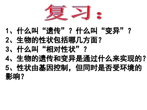 人教版初中生物八年级下册 第七单元 第二章 生物的遗传与变异 第二节 基因在亲子代间的传递课件