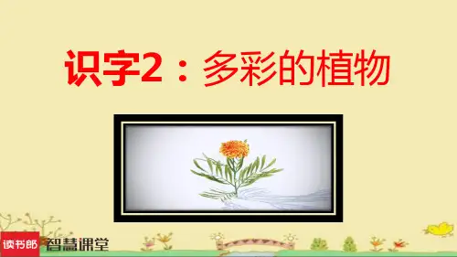 《多彩的植物》课件1(共17张PPT)