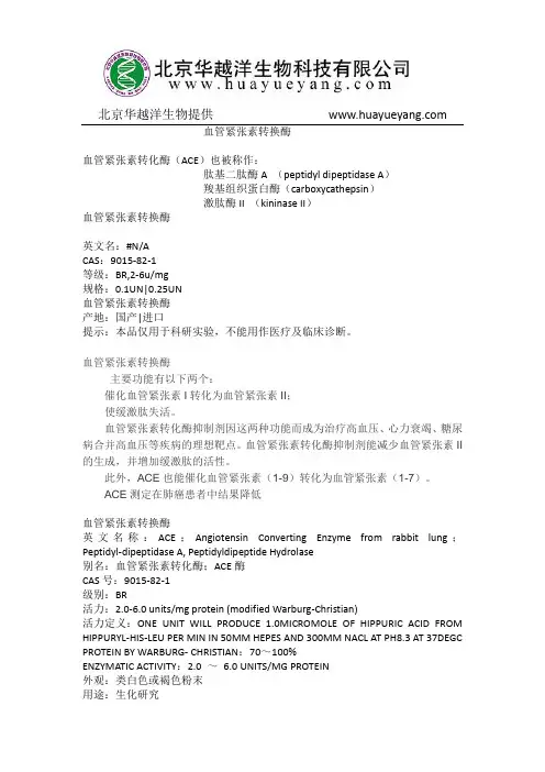 血管紧张素转换酶