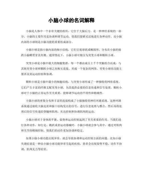 小脑小球的名词解释