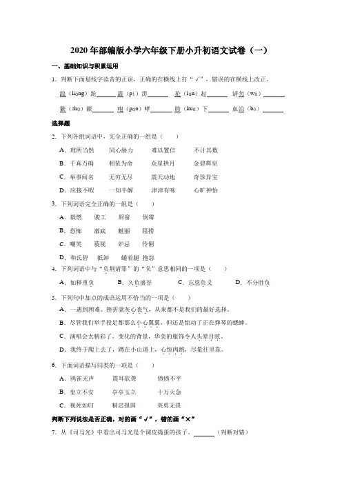 2020年部编版小学六年级下册小升初语文试卷(一)(含解析)