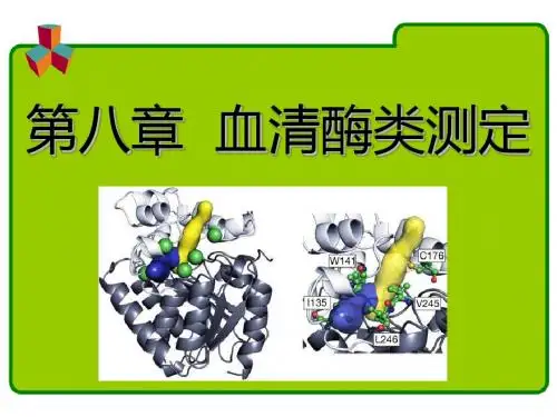 第八章-血清酶类测定