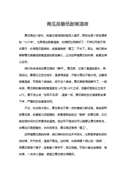 黄瓜苗最低耐寒温度