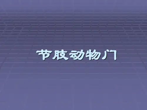 普通动物学-节肢动物门
