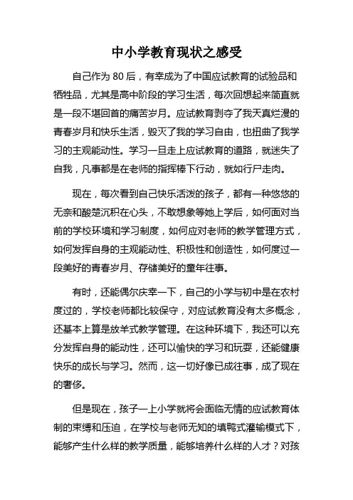 中小学教育现状之感受