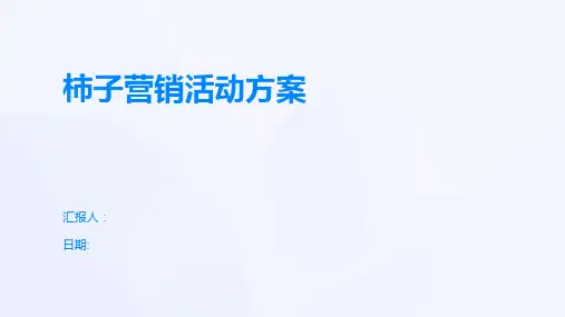 柿子营销活动方案