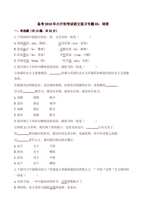 小升初考试语文复习专题03：词语通用版(含解析)