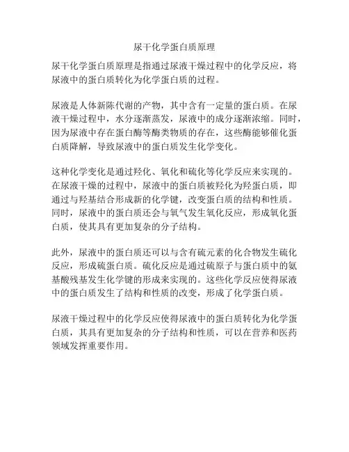 尿干化学蛋白质原理
