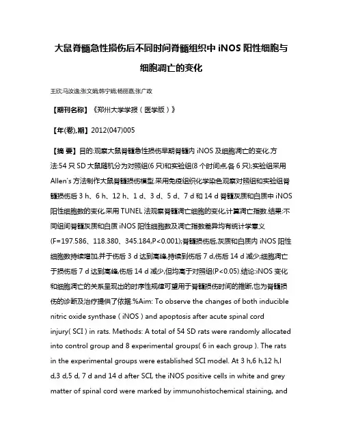 大鼠脊髓急性损伤后不同时间脊髓组织中iNOS阳性细胞与细胞凋亡的变化