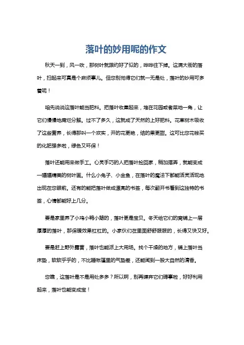 落叶的妙用呢的作文
