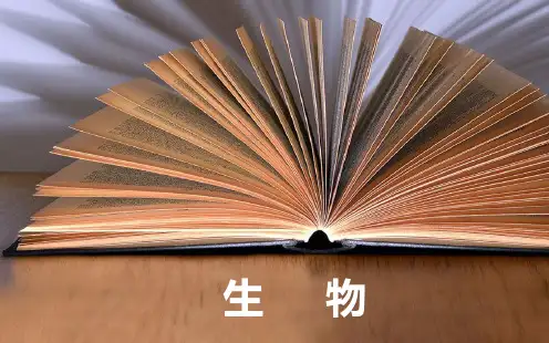2019届高考生物一轮复习课件：第八单元 第4讲 免疫调节